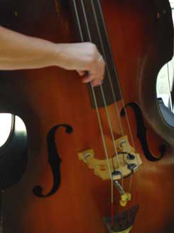 Image of String Bass